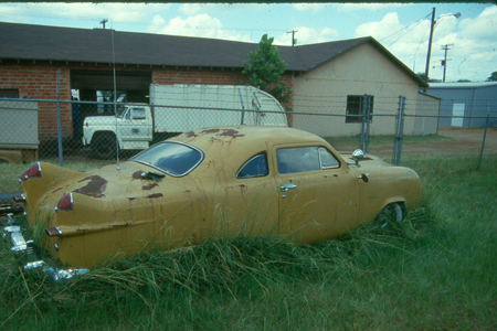 Shark in Alto, TX 1987