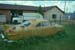 Shark in Alto, TX 1987
